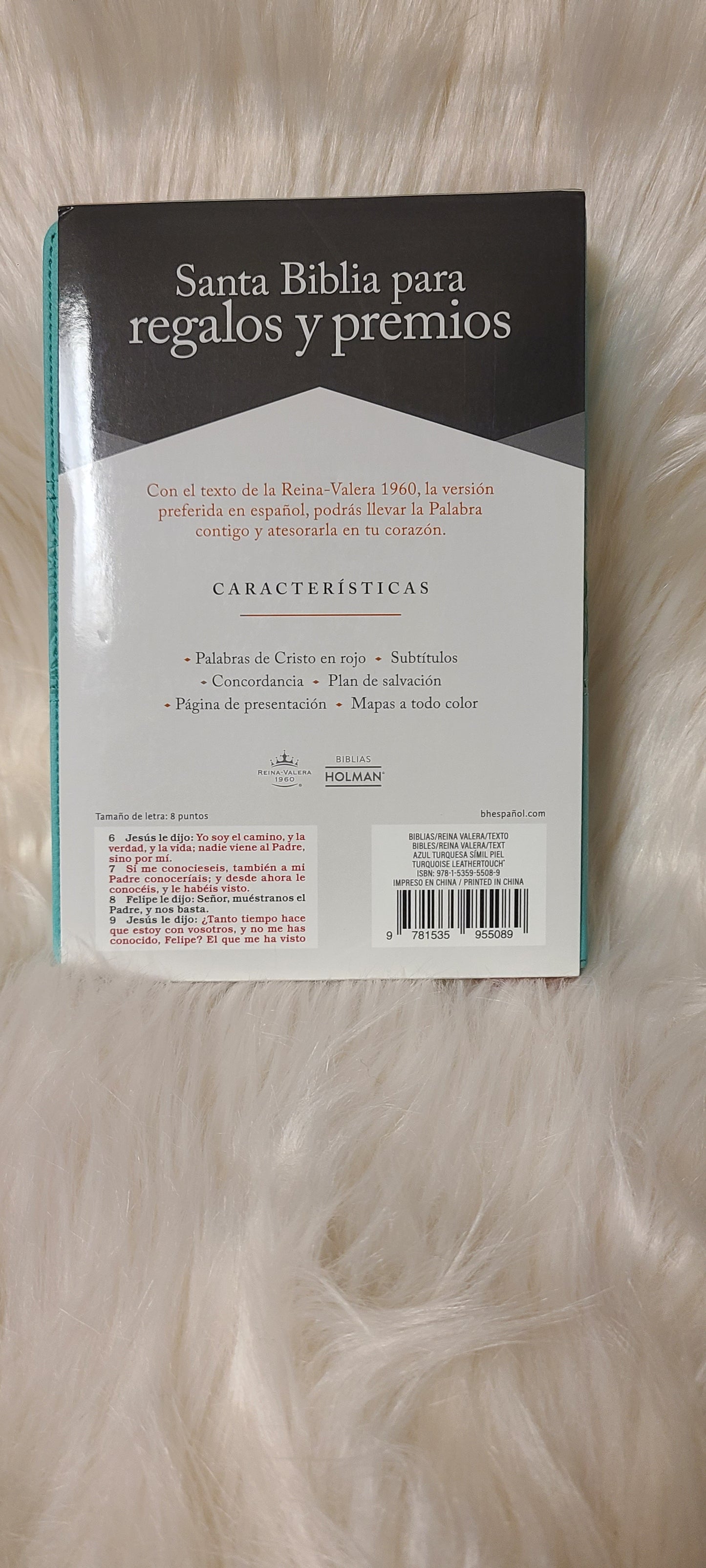 Santa Biblia RVR60 -tamaño manual