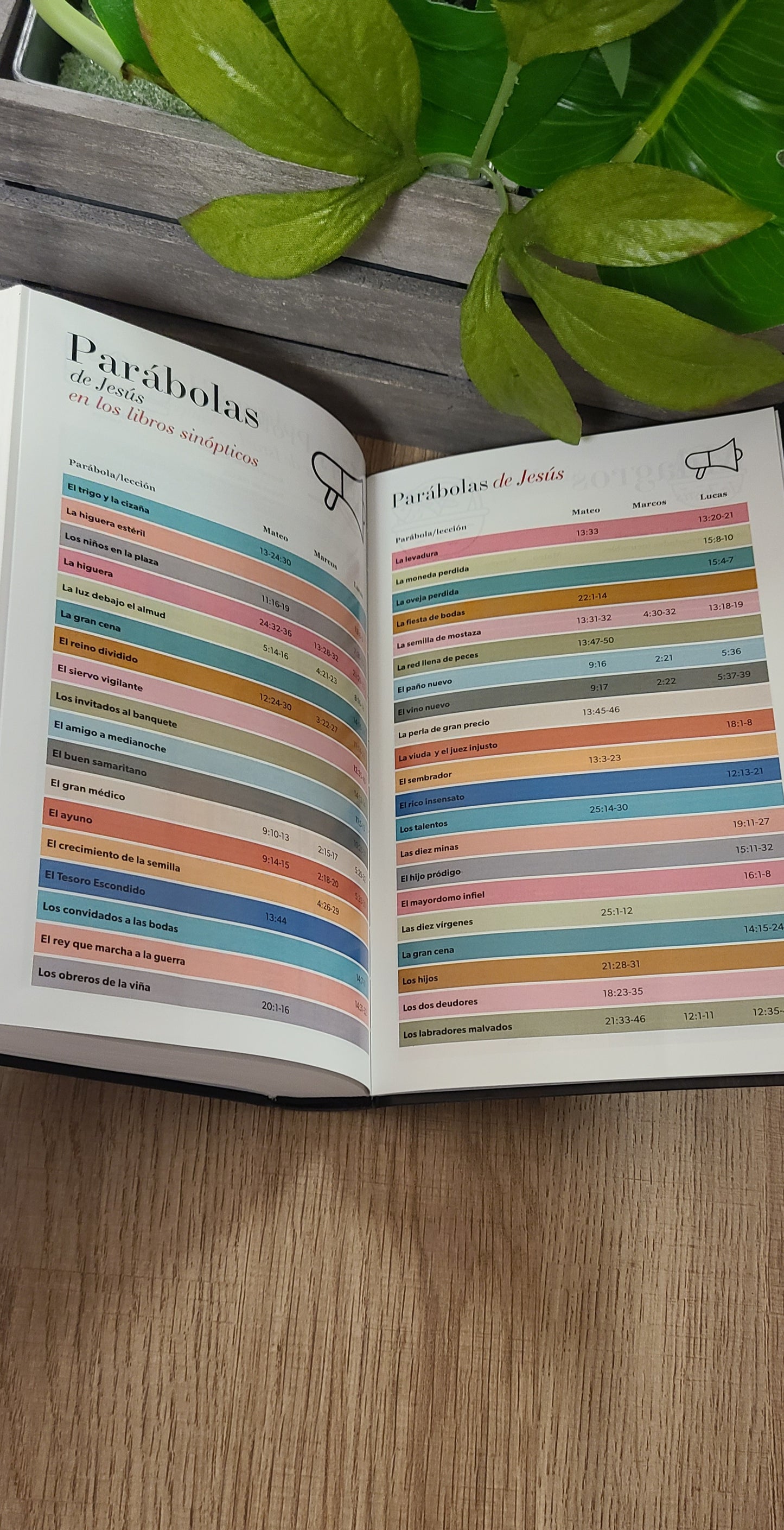 Santa Biblia RVR60 12 puntos