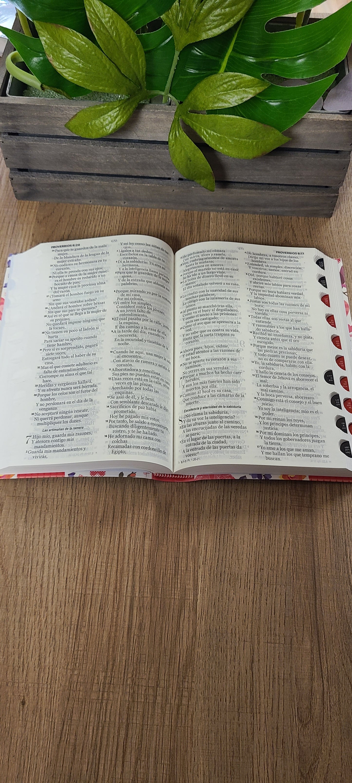 Santa Biblia RVR60 Forro de corazones-12 puntos