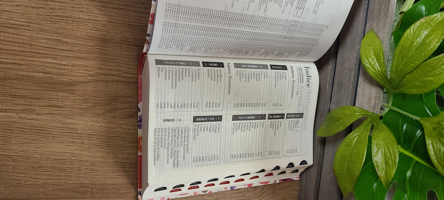Santa Biblia RVR60 Forro de corazones-12 puntos