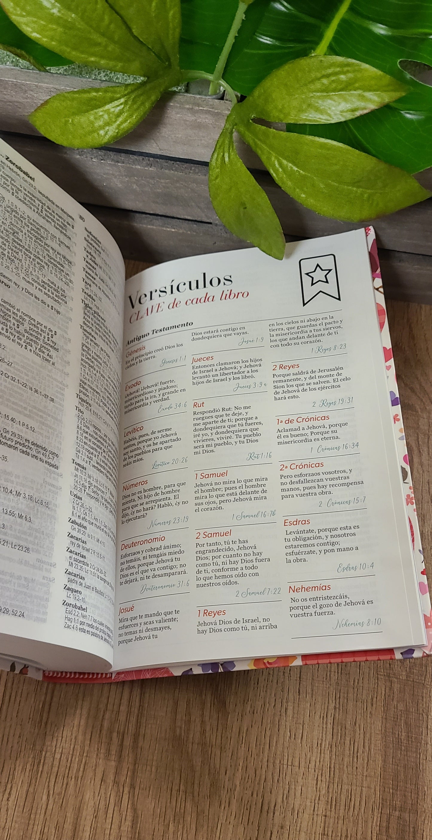 Santa Biblia RVR60 Forro de corazones-12 puntos