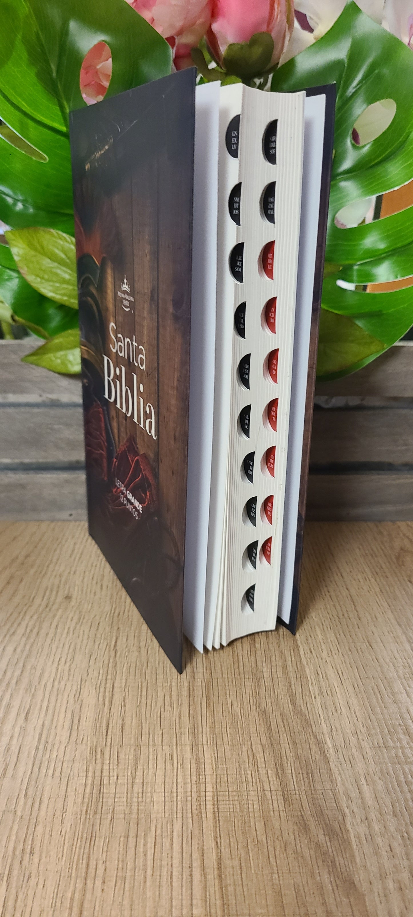 Santa Biblia RVR60 forro-armadura de Dios 12 puntos