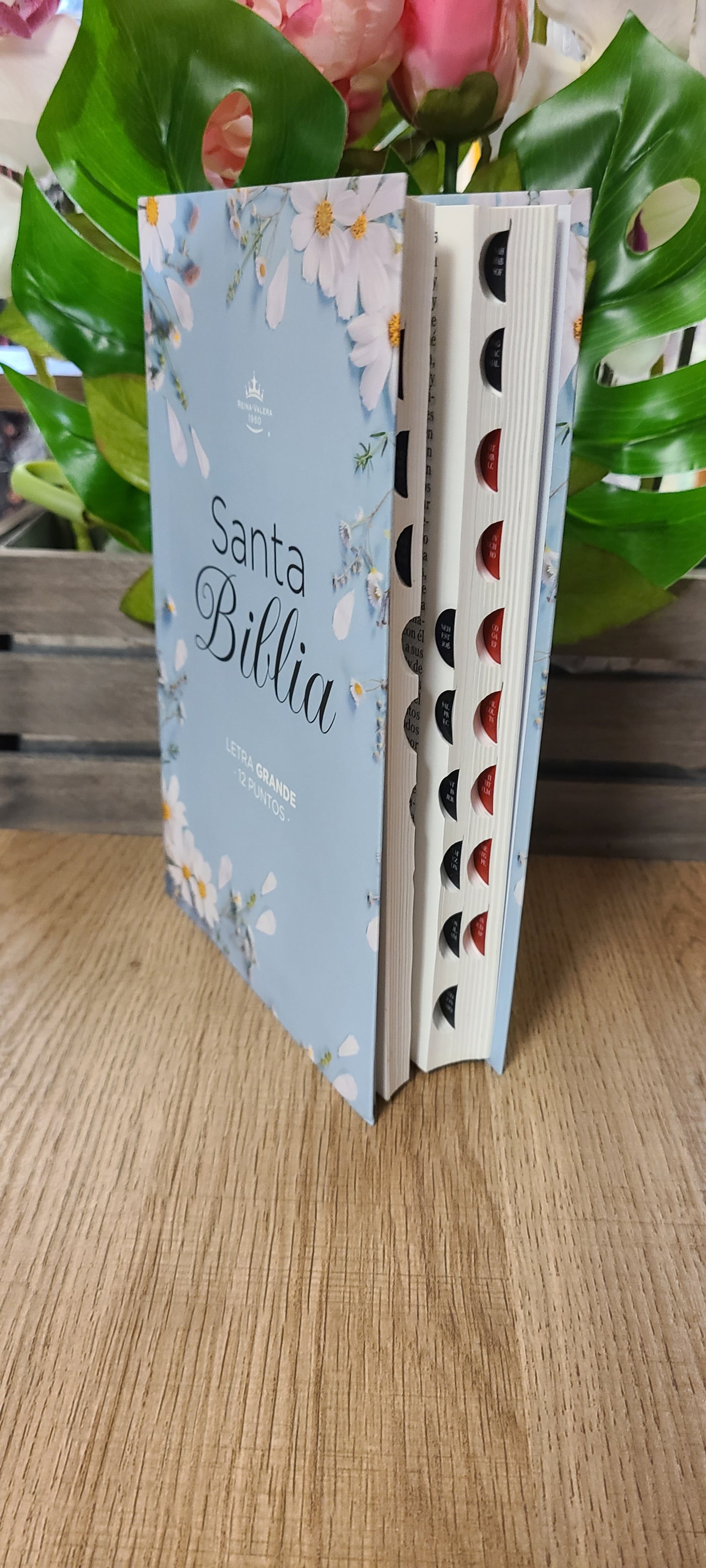 Santa Biblia RVR60 12 puntos azul-Floral con índice