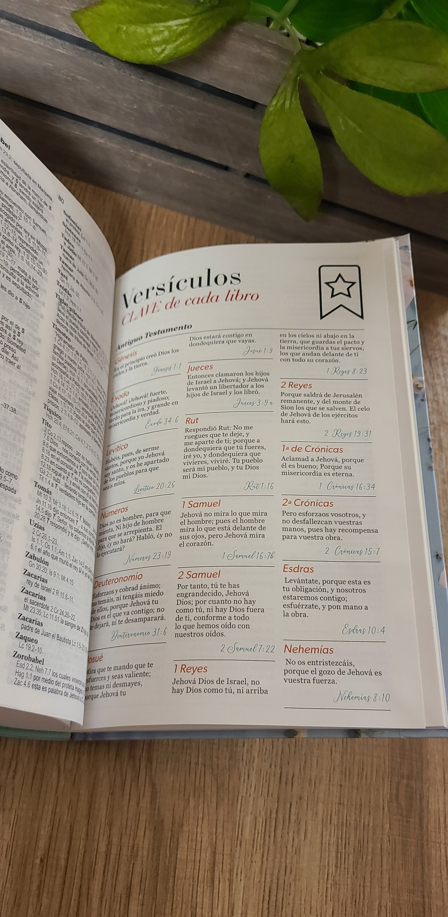 Santa Biblia RVR60 12 puntos azul-Floral con índice