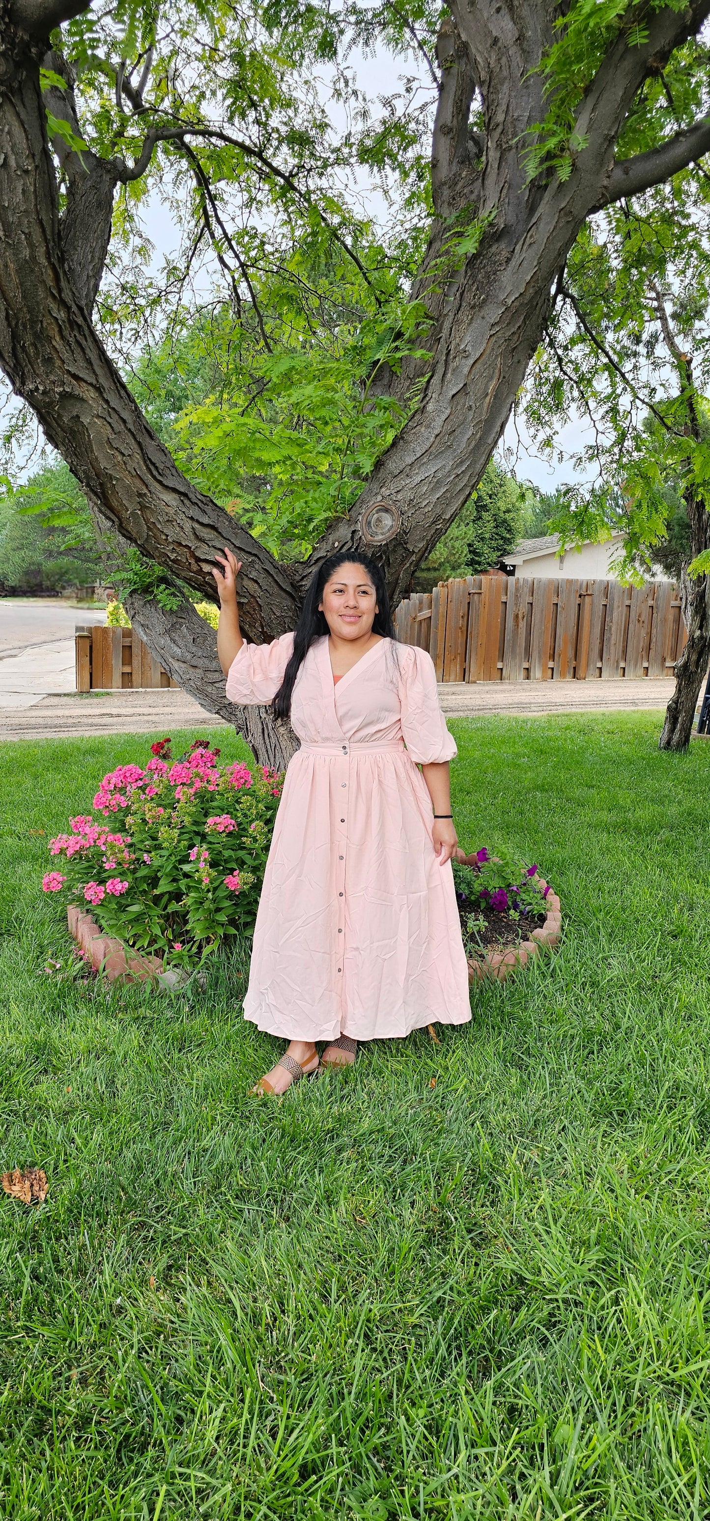 Alexa Buttoned midi dress