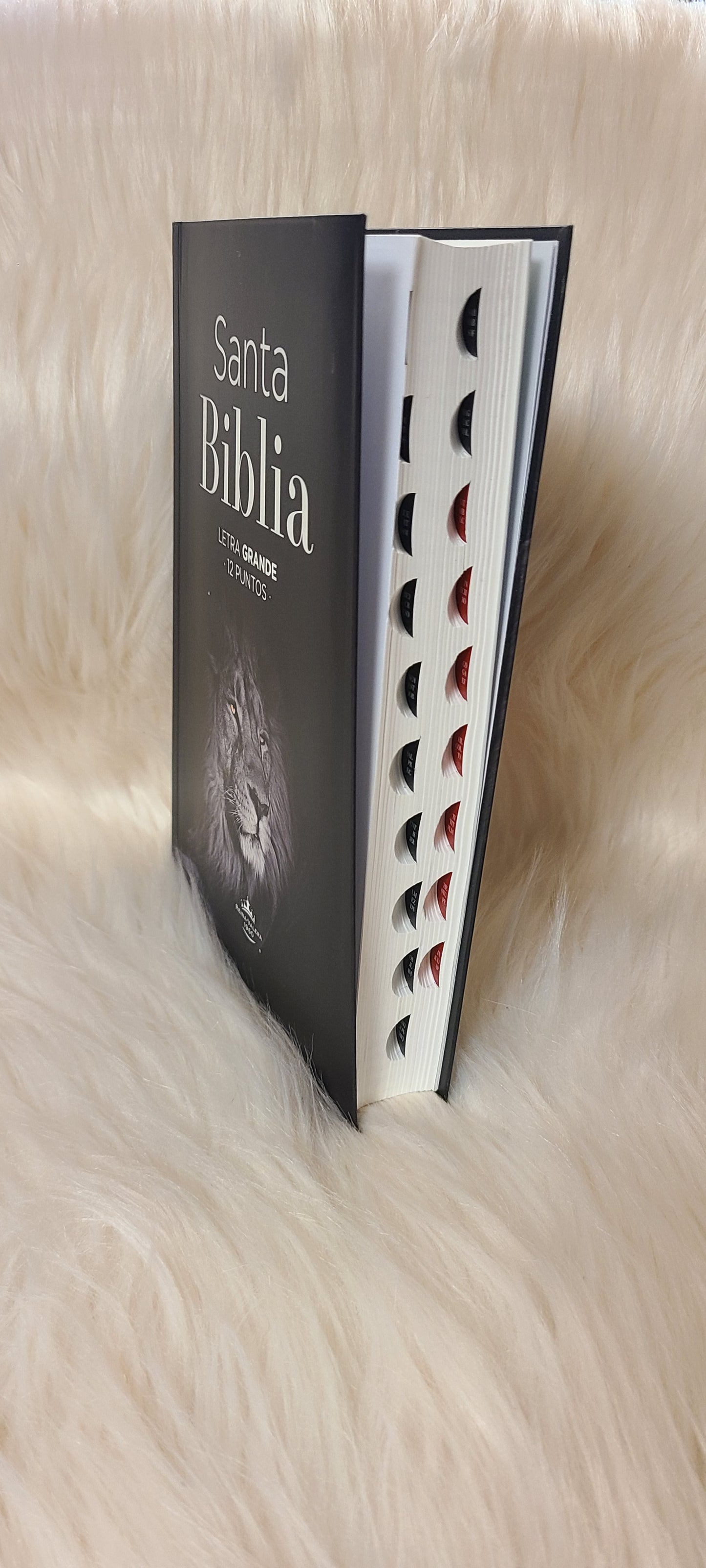 Santa Biblia RVR60 12 puntos