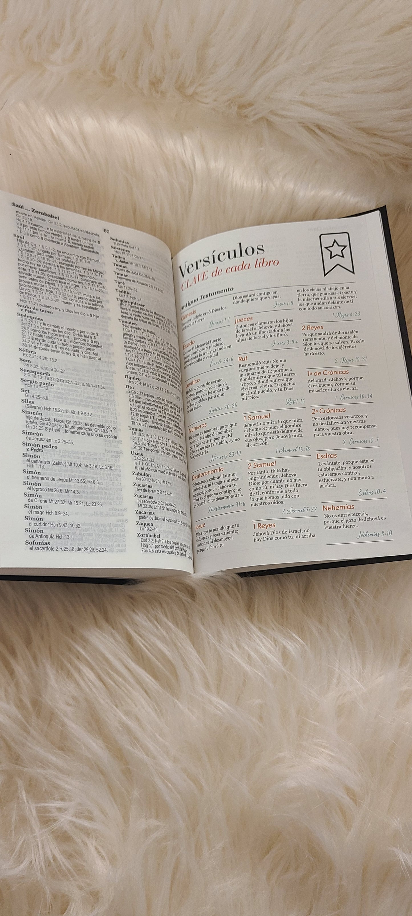 Santa Biblia RVR60 12 puntos