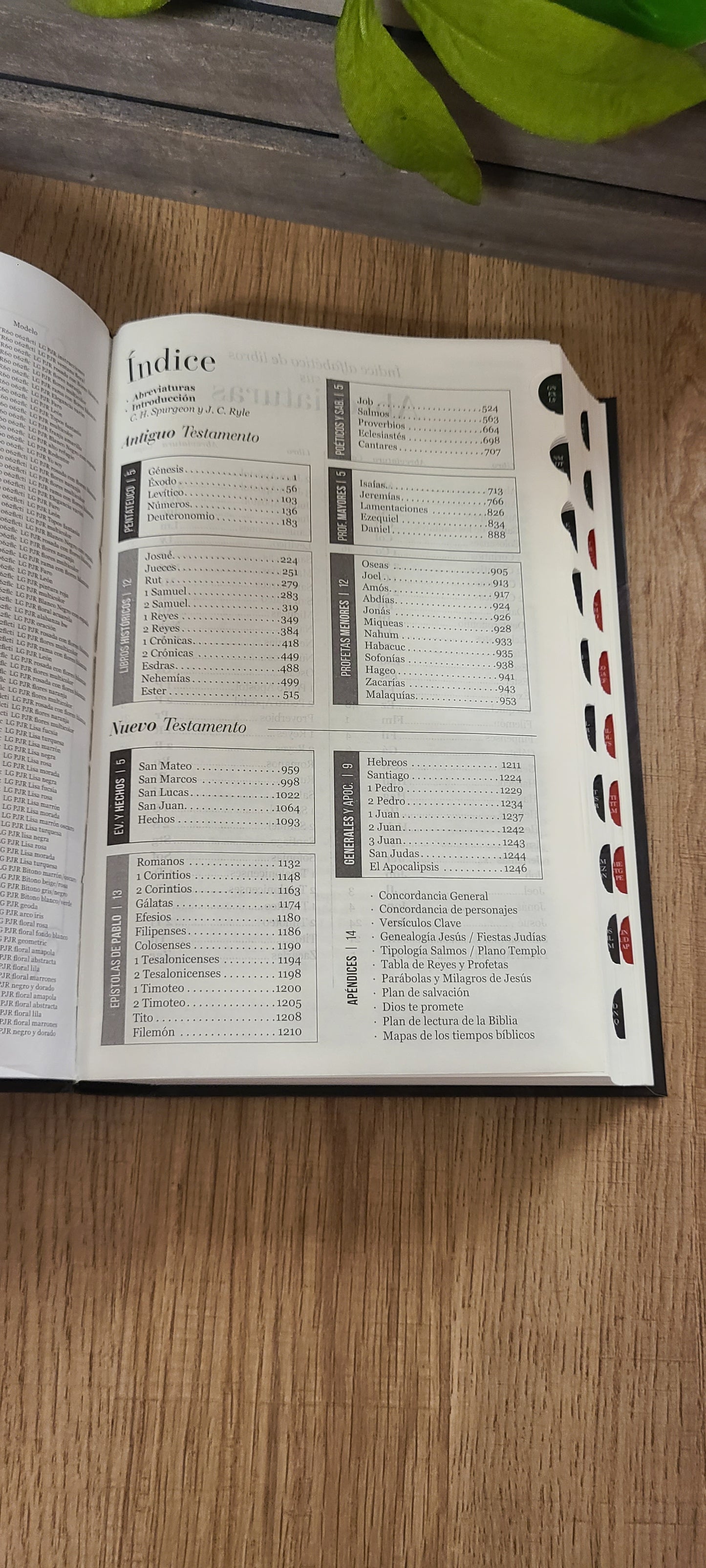 Santa Biblia RVR60 12 puntos