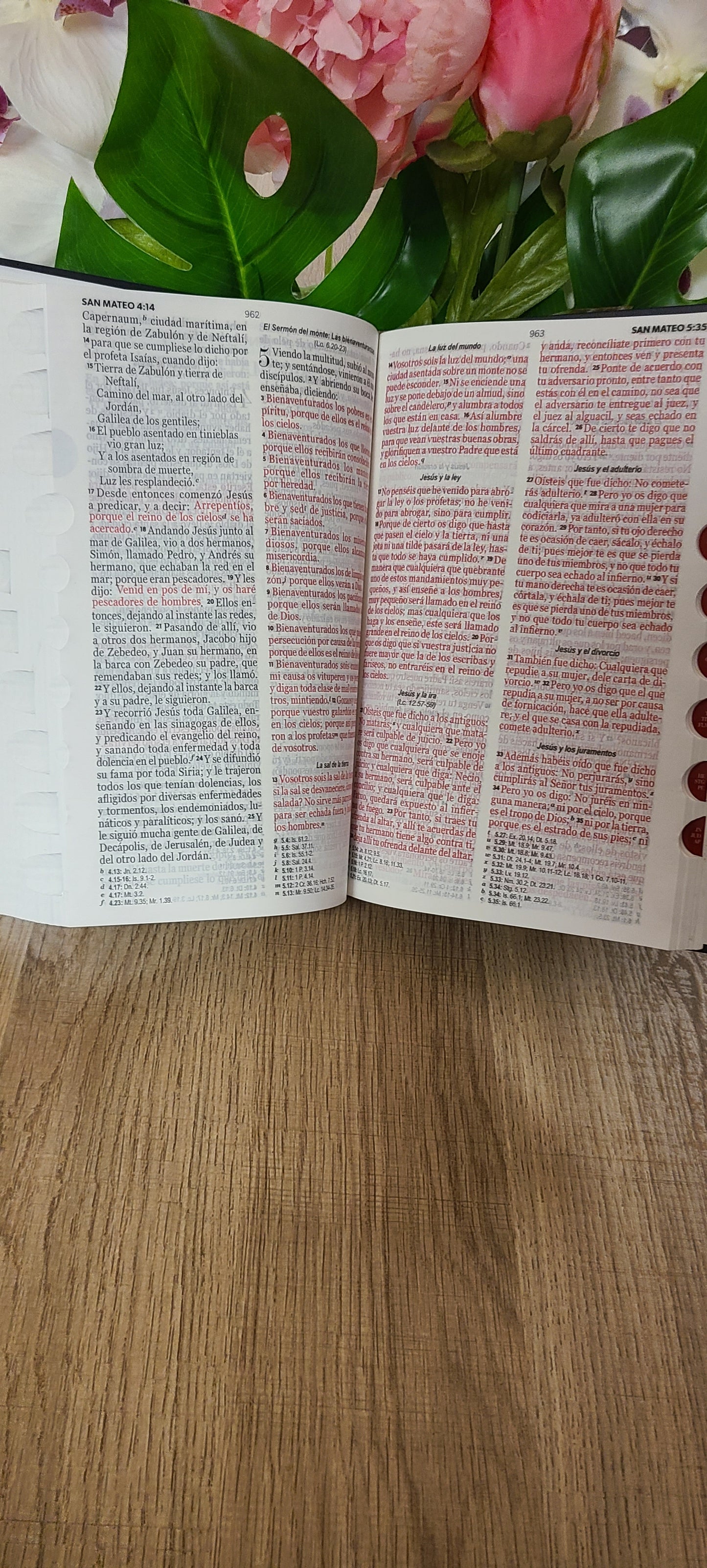 Santa Biblia RVR60 forro-armadura de Dios 12 puntos