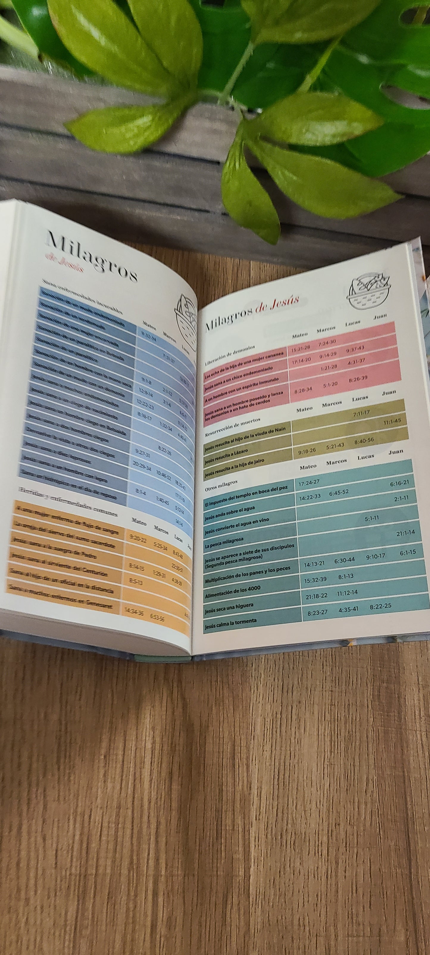 Santa Biblia RVR60 12 puntos azul-Floral con índice