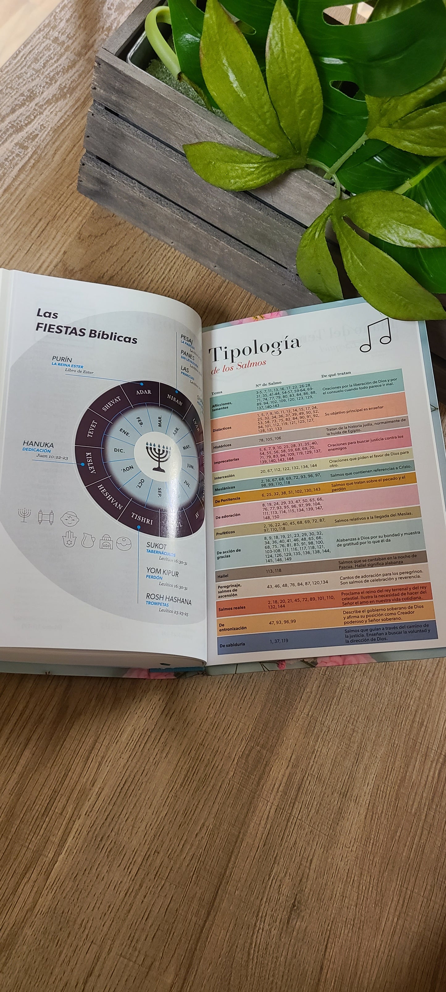 Santa Biblia RVR60 Floral