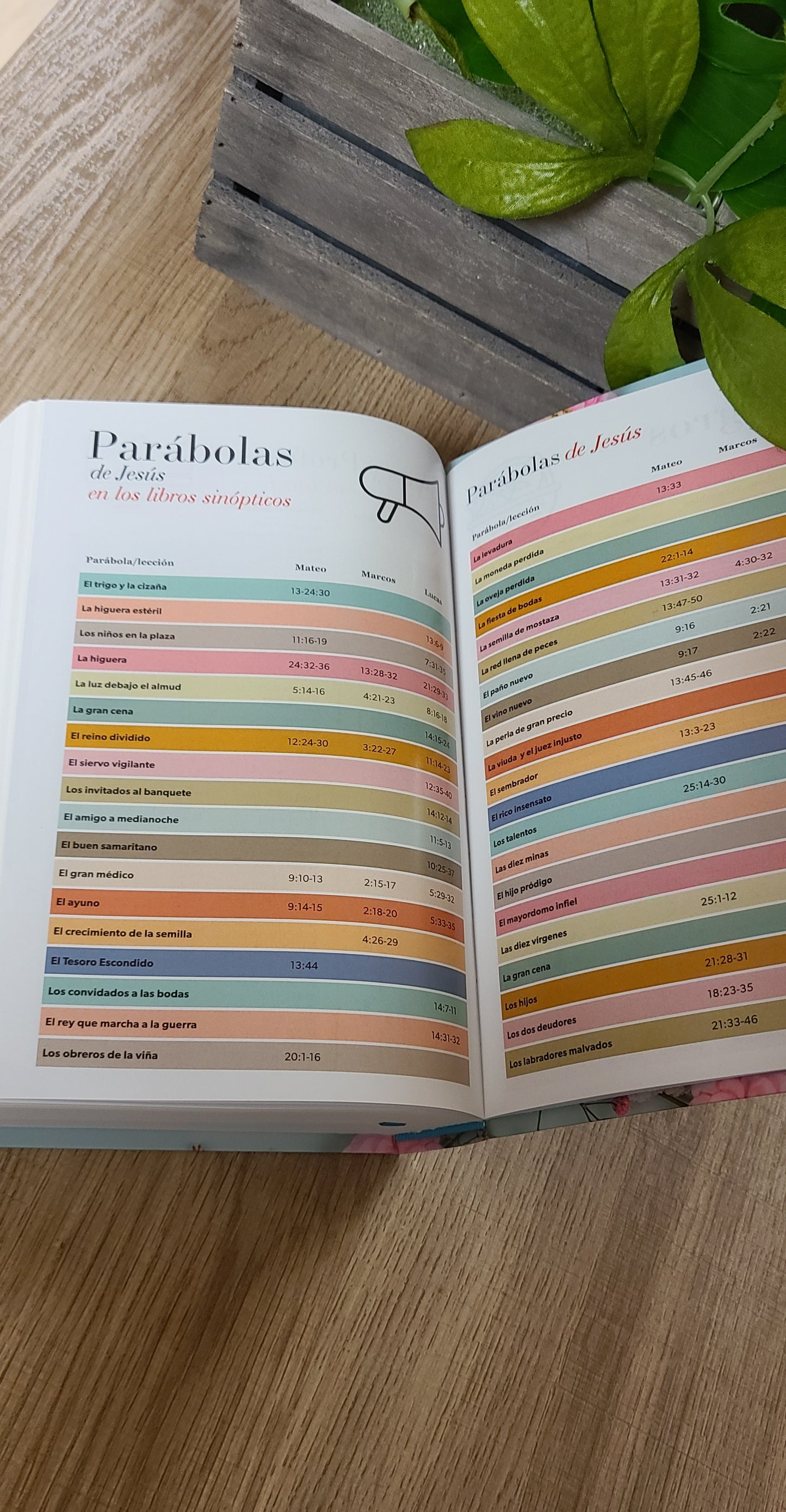 Santa Biblia RVR60 Floral