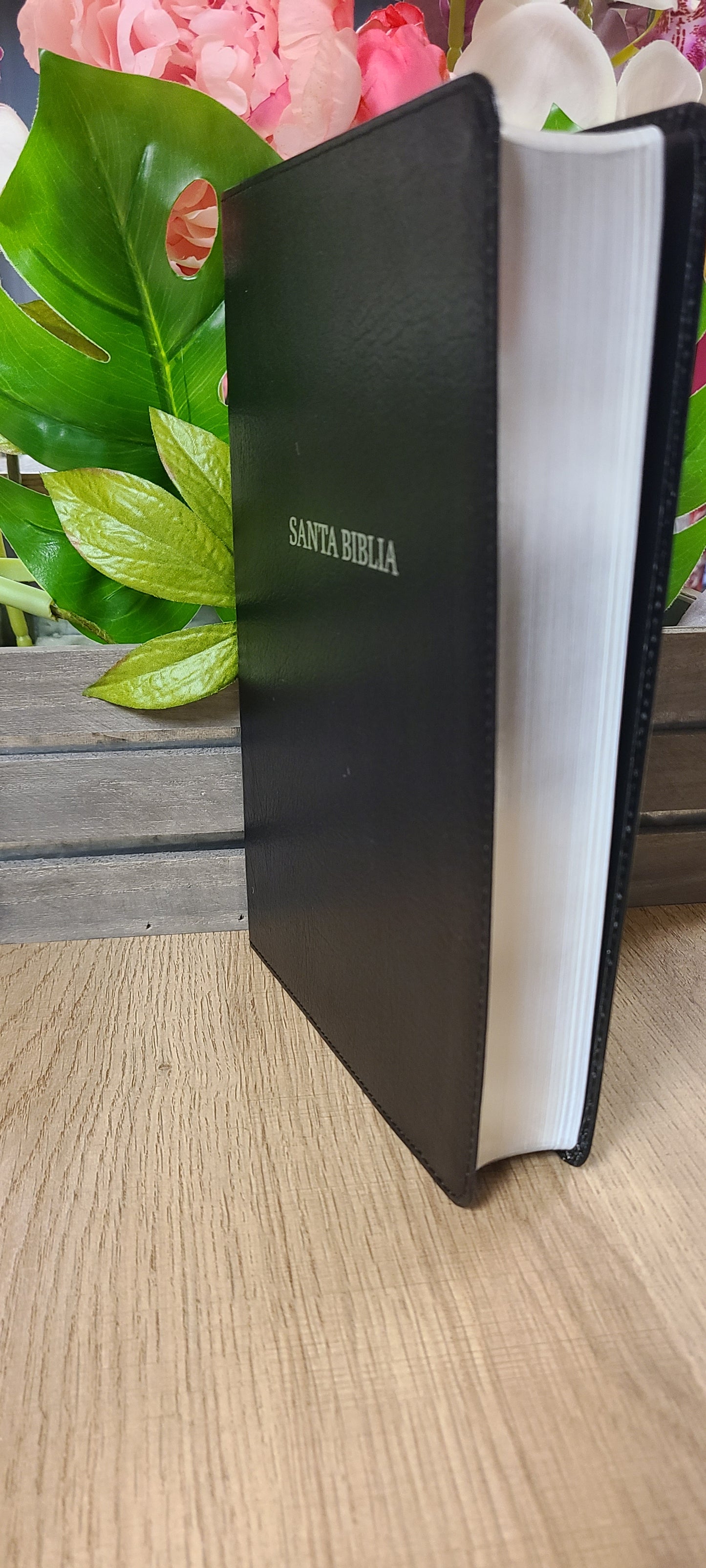 Santa Biblia letra gigante  RVR60 Piel-Negro