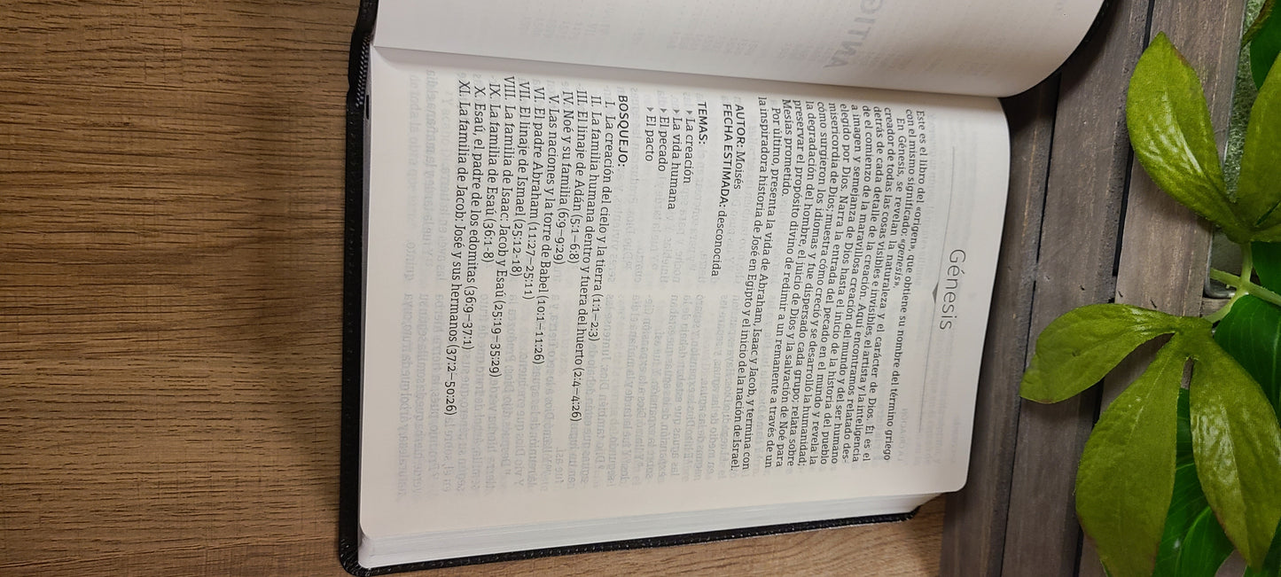 Santa Biblia letra gigante  RVR60 Piel-Negro