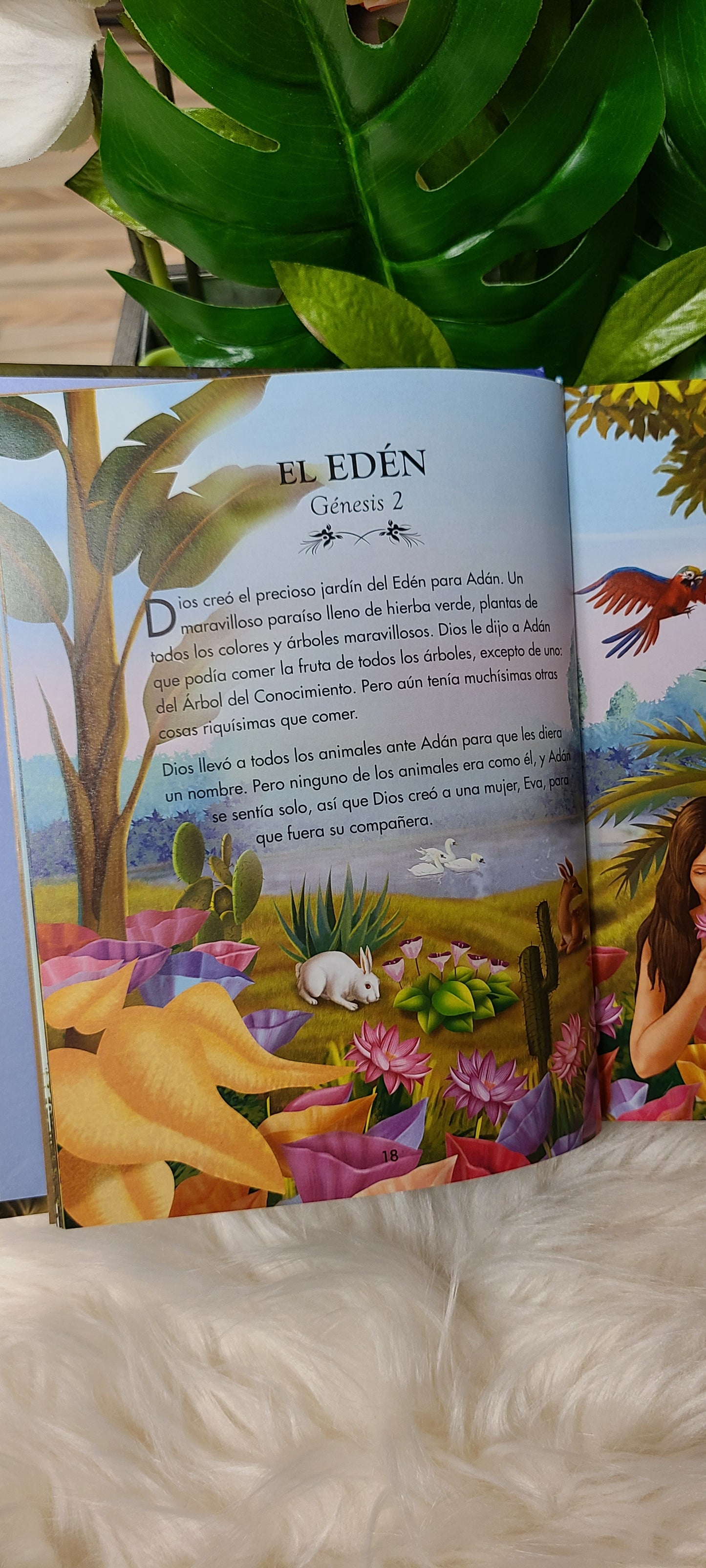 Biblia Ilustrada para niños