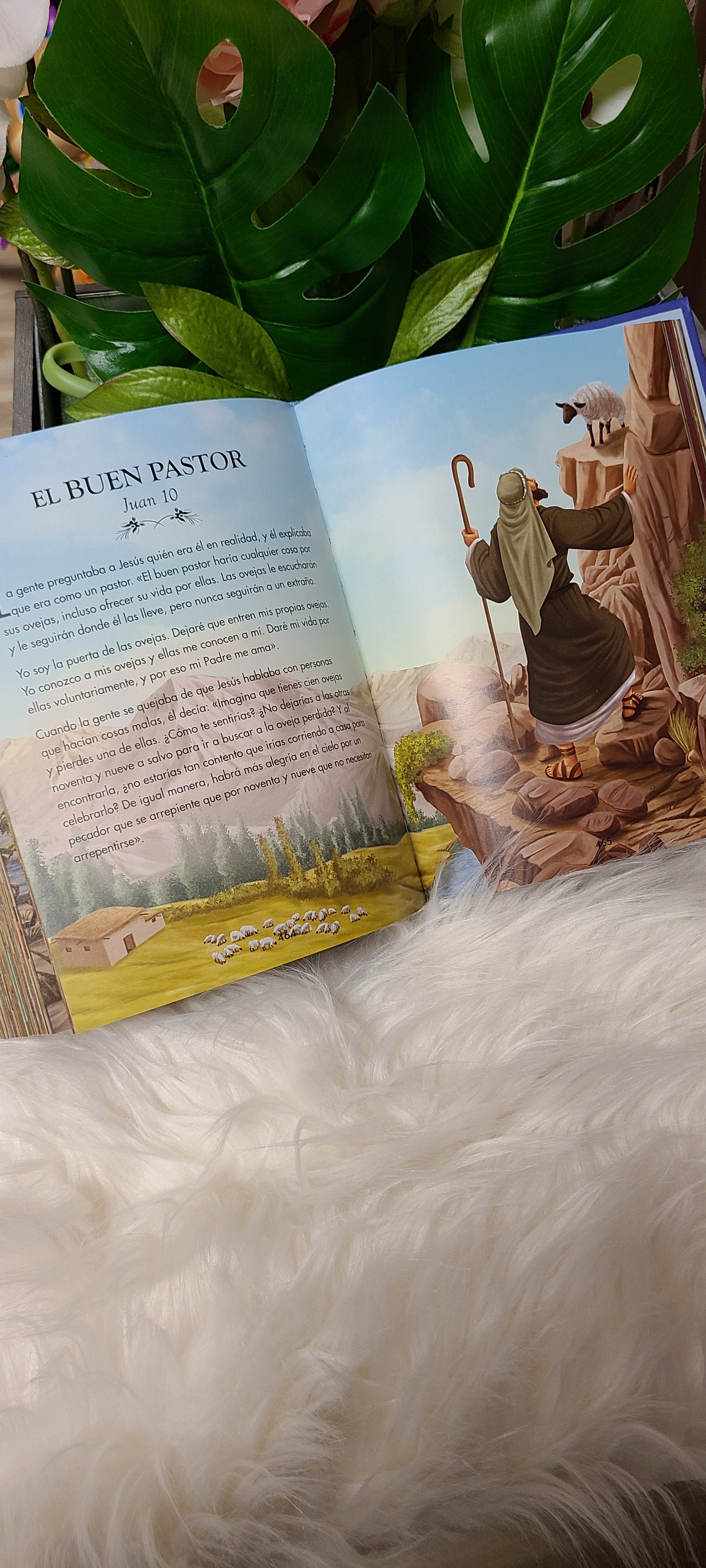 Biblia Ilustrada para niños