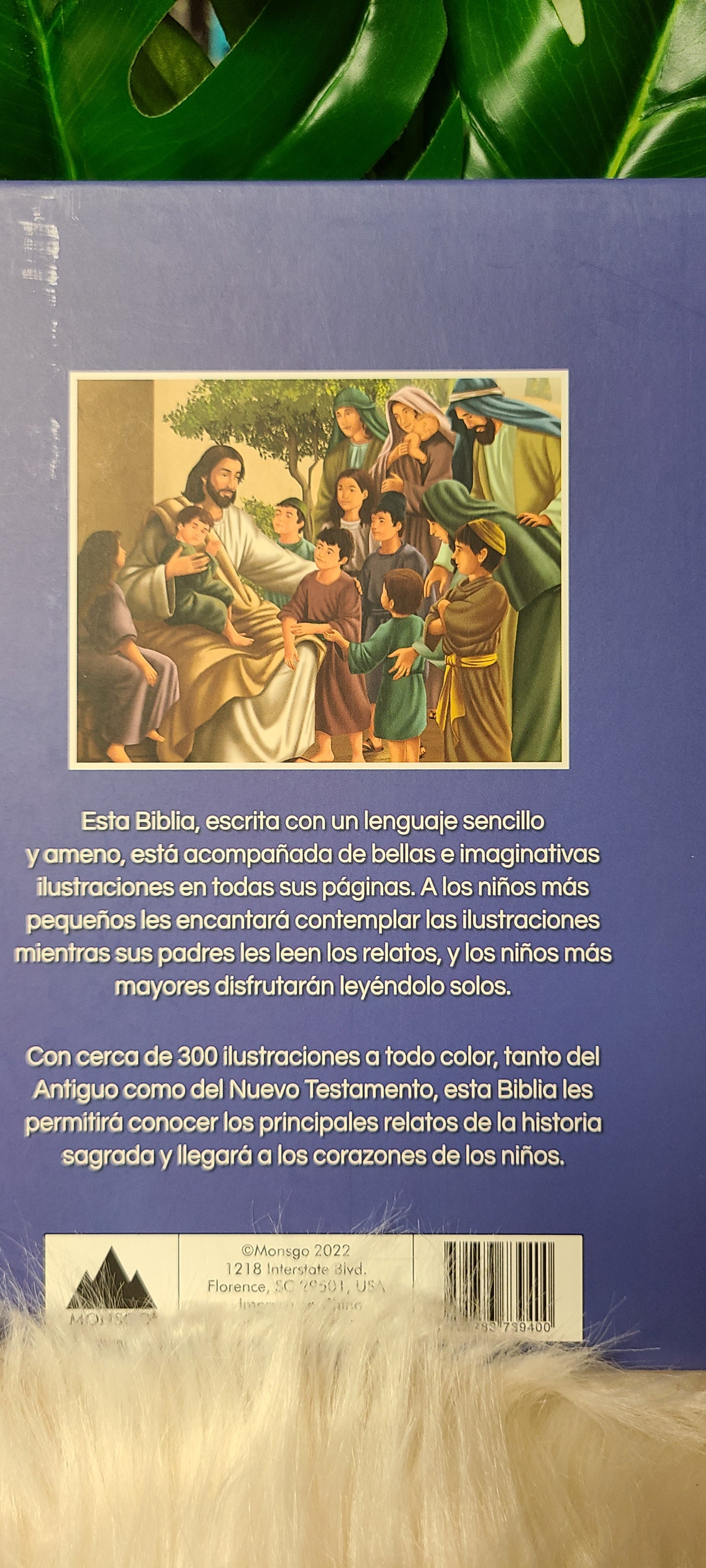 Biblia Ilustrada para niños